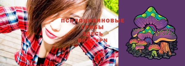 тгк Алексеевка