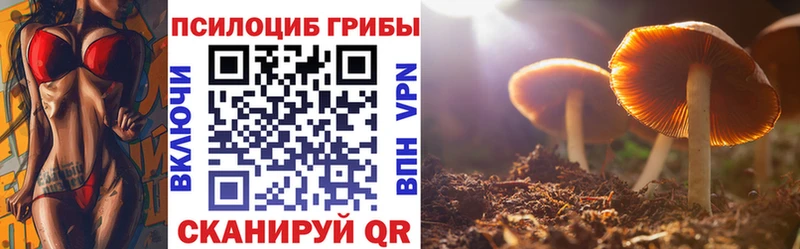 наркота  Сосенский  Галлюциногенные грибы Cubensis 